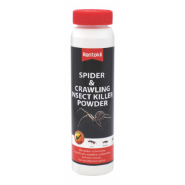 Rentokil Spider Crawling...
